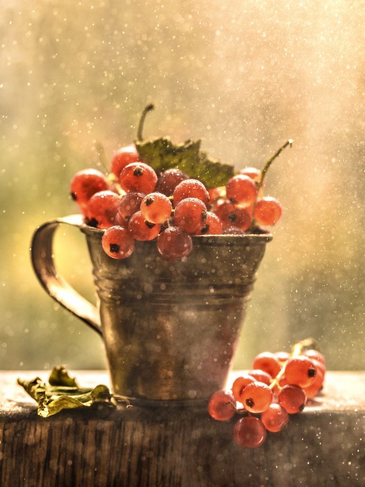 Натюрморт со смородиной.