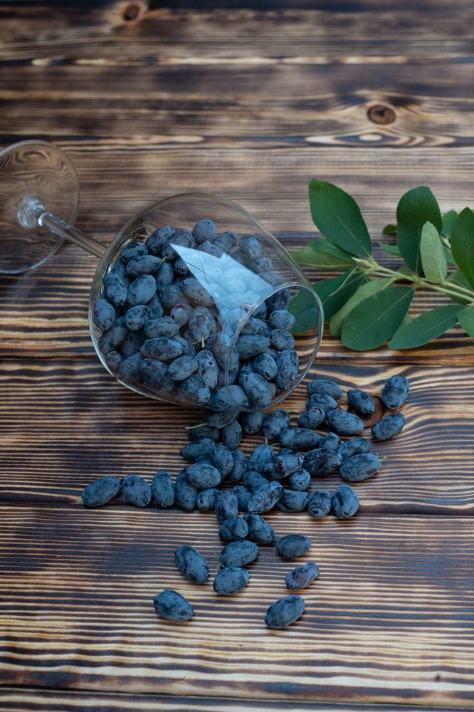 Photograph by Кадырова Анастасия