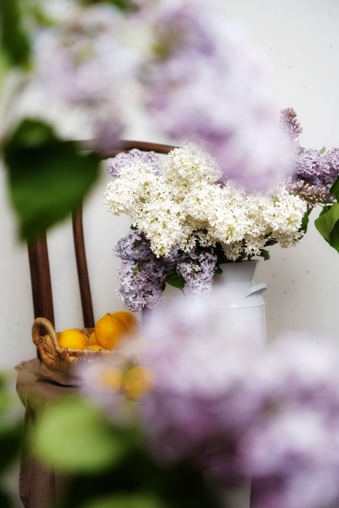 Photograph by Маргарита Булатова