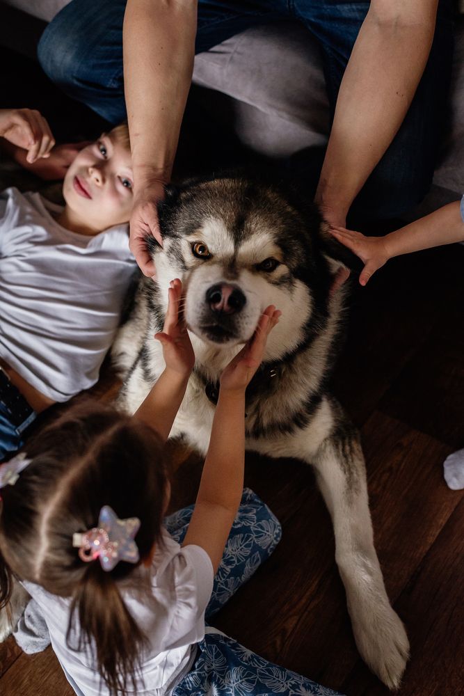 Photograph by Надежда Рачева