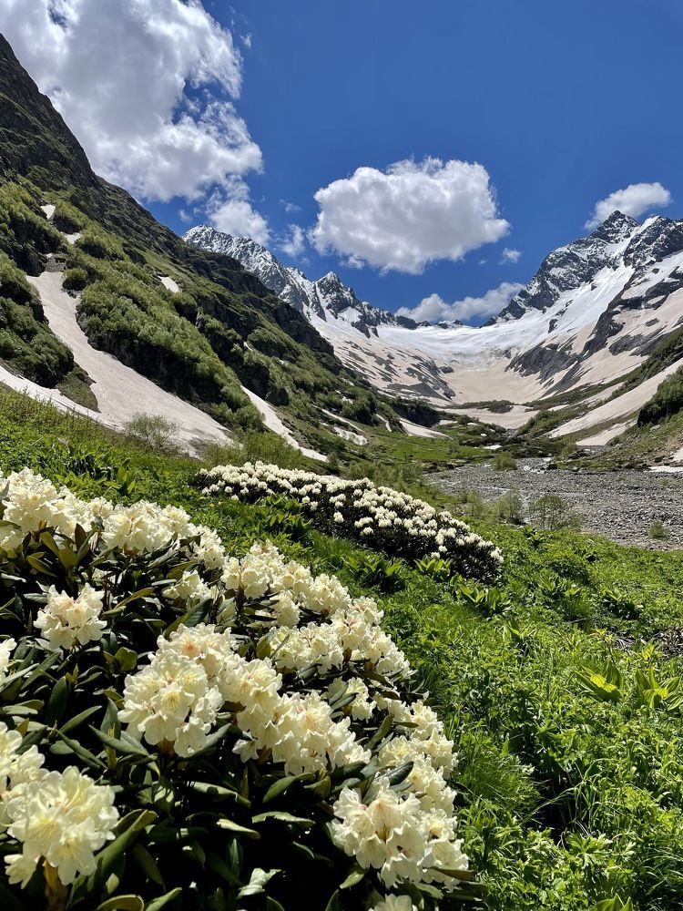 Фотография автора Юлия