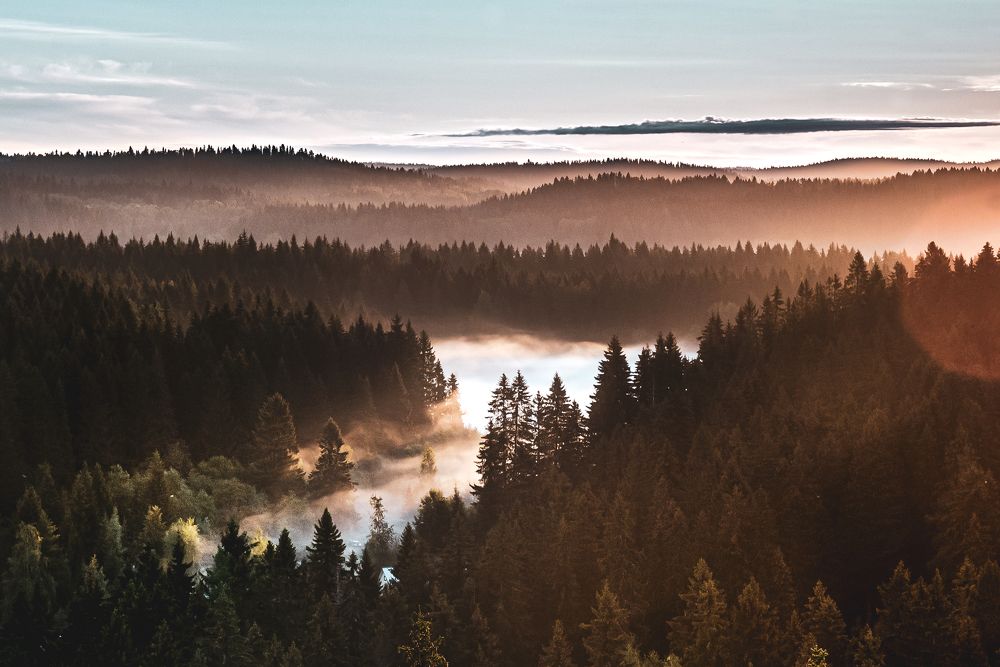Фотография автора Дмитрий Дроздов