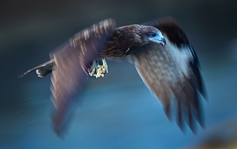 Фотография автора Maurice Leung