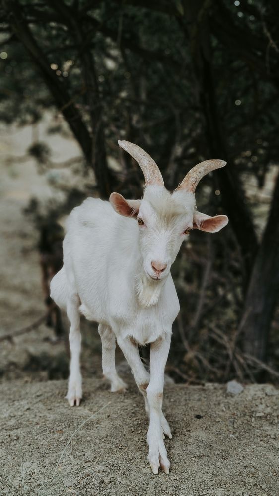 Photograph by Ольга Мирошниченко