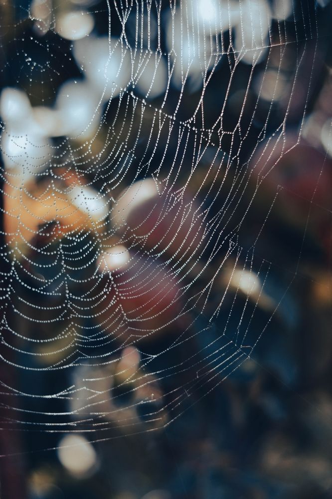 Photograph by Светлана Васина