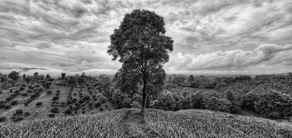 Photograph by khan avi