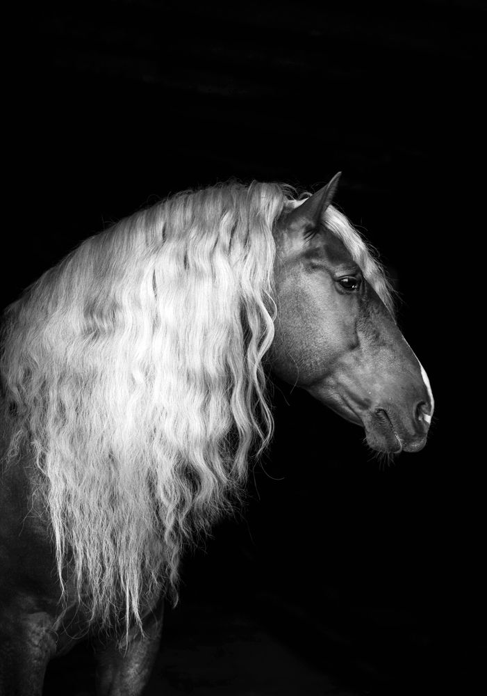 Photograph by Любовь Похабова