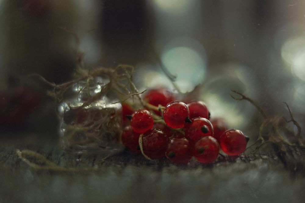 Photograph by Наталия Поникарова