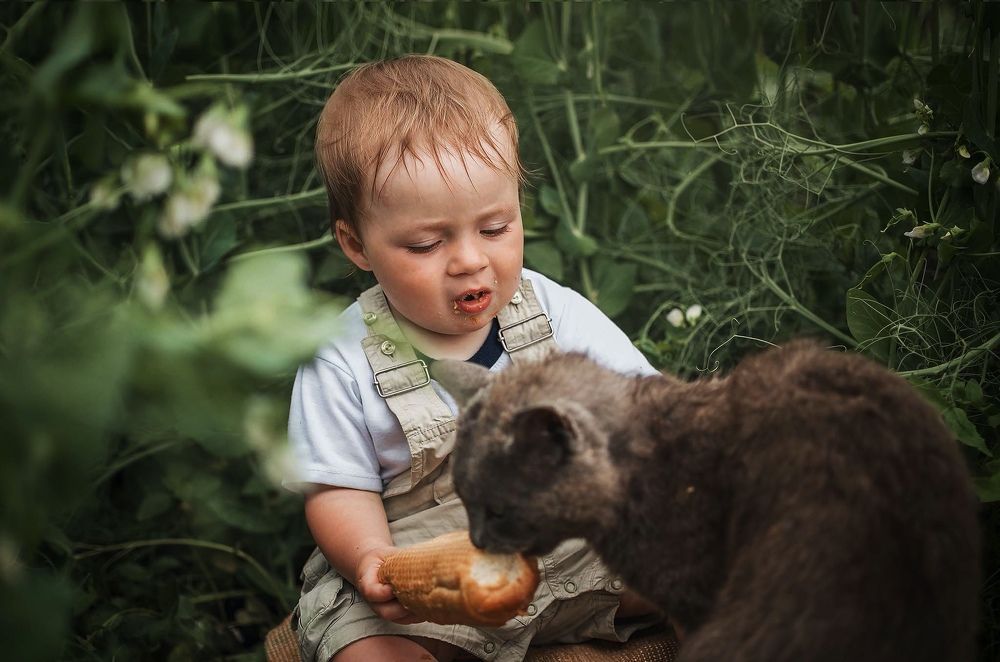 Photograph by Светлана Коваль