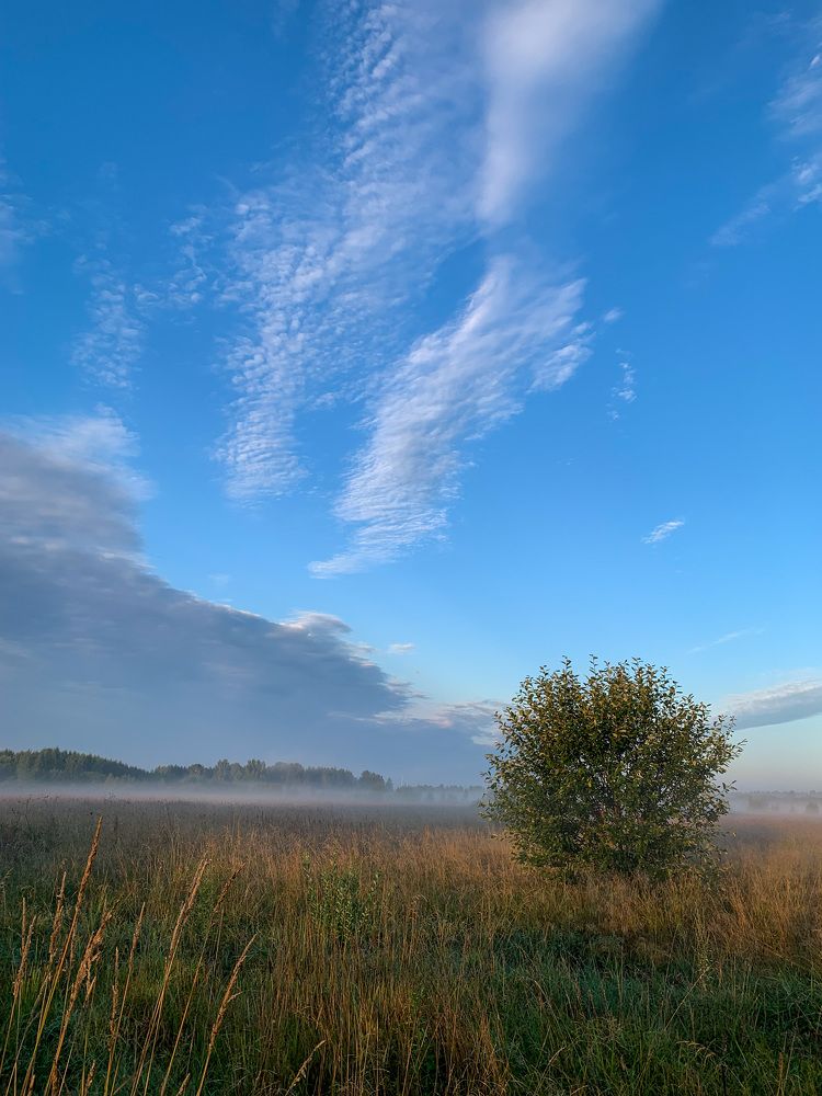 Photograph by Николай Бутяев
