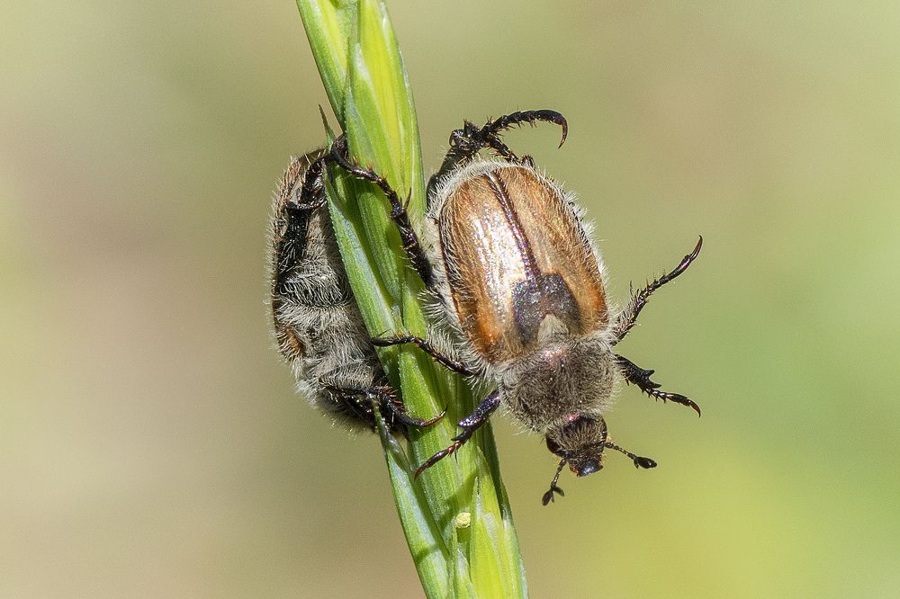 Photograph by Илья Тюрин