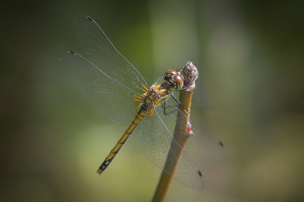 Photograph by Илья Тюрин