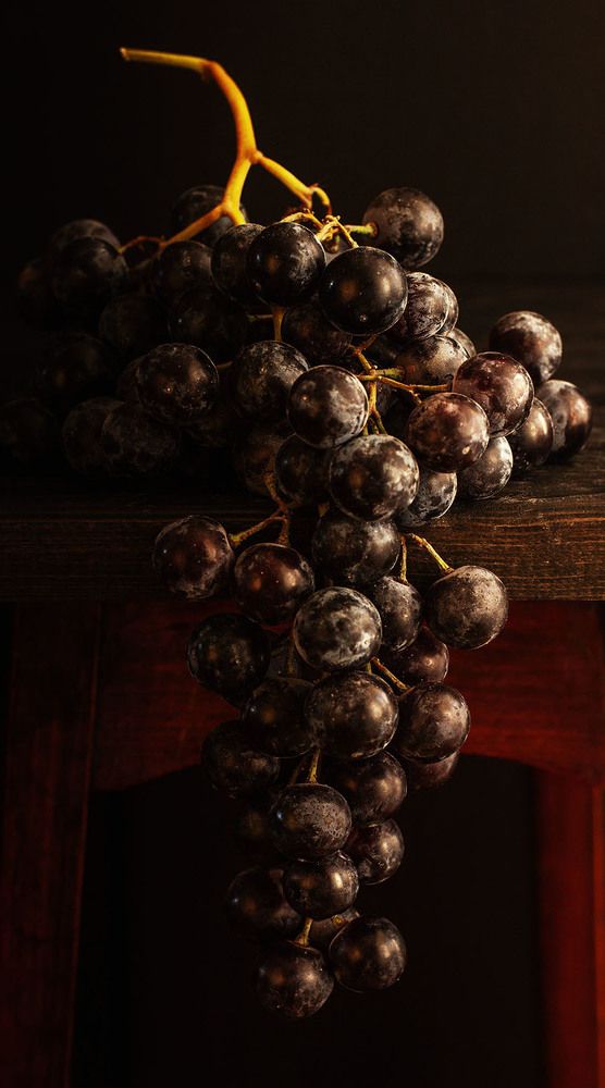 Photograph by Диляра Шарифзаде