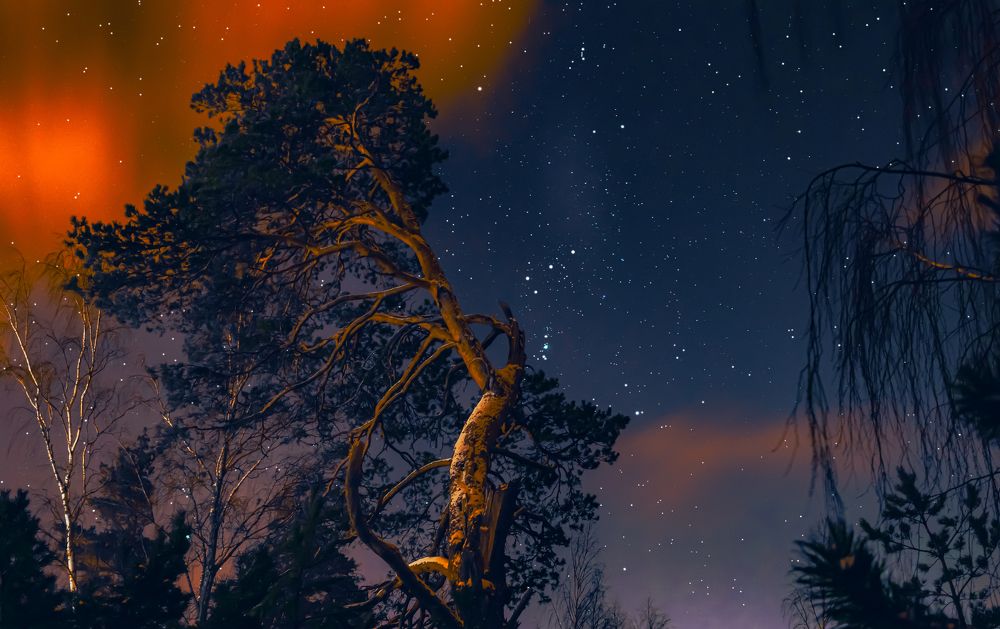 Photograph by Антон Парфентьев