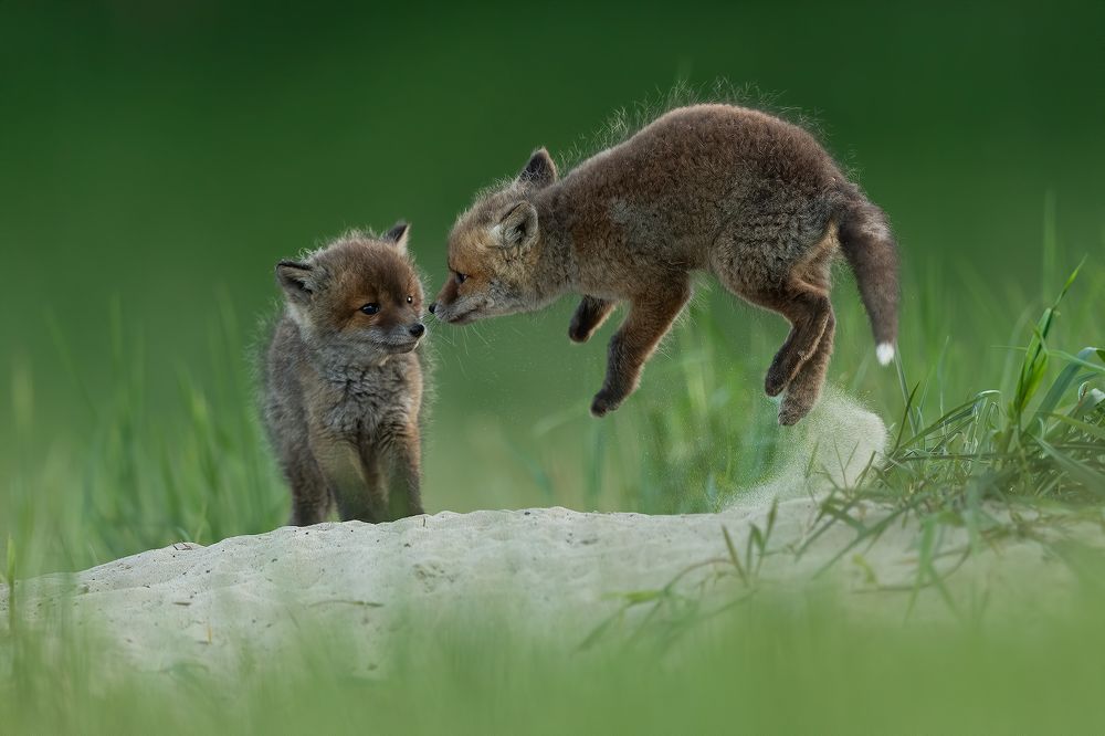 Photograph by Dariusz Dryl