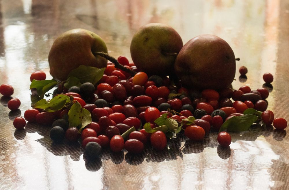 Photograph by Олег Башкуров