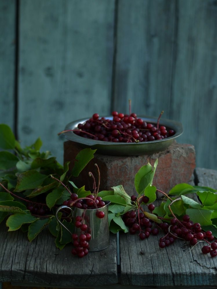 Photograph by Ольга Мокрова