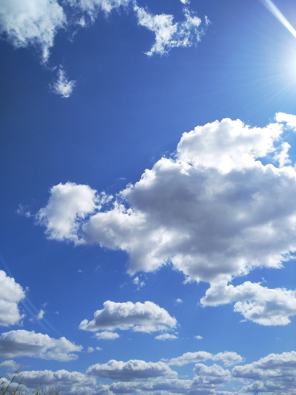 Photo #6425547