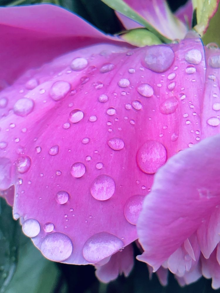 Photograph by Валерия Шишлова