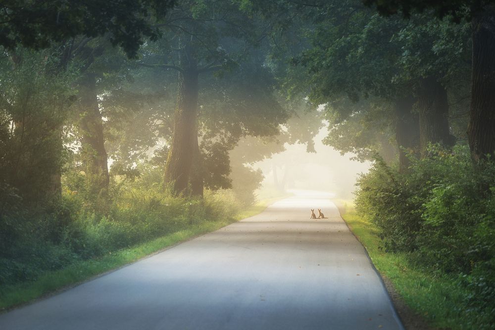 Photograph by Mirosław Pruchnicki