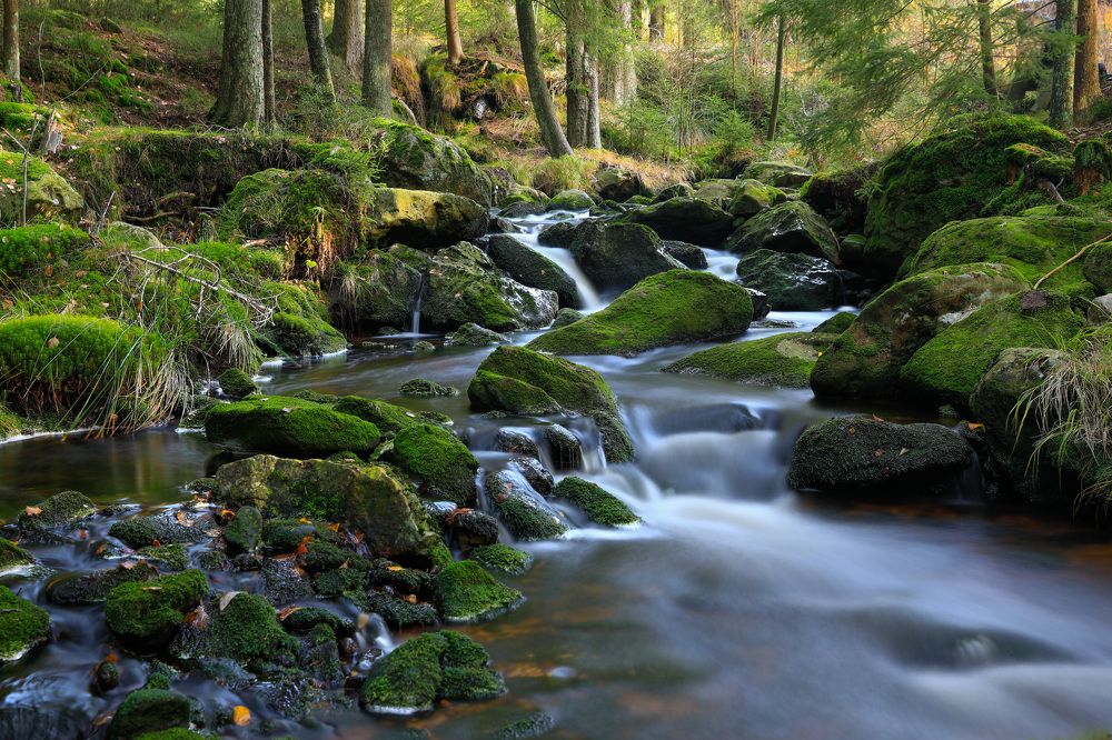 Photograph by Евгения Чех