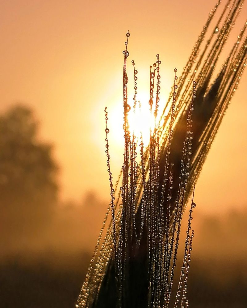 Photograph by Виктор Шубин