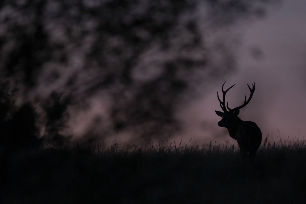 Czekając na zew natury