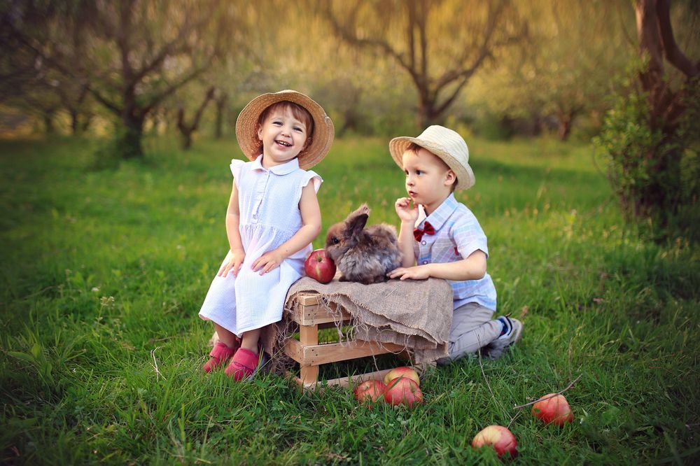 Фотография автора Ольга Быкова