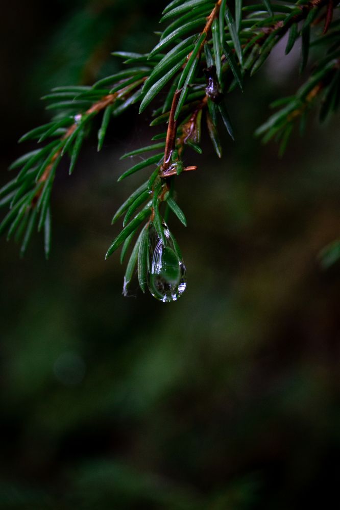 Photograph by Илья Соловьев