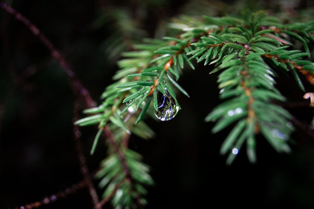 Photograph by Илья Соловьев