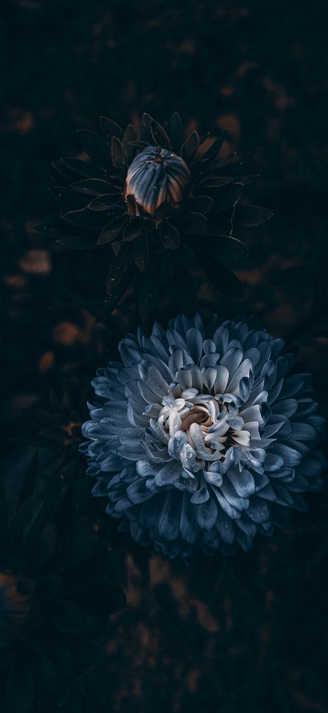 Photograph by Кристина Полякова