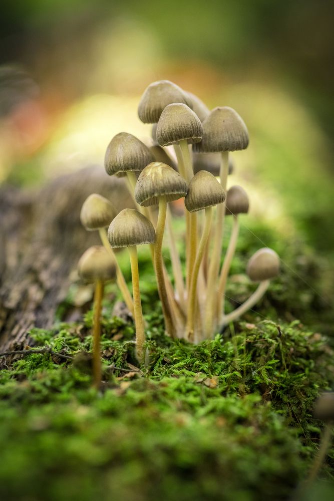 Photograph by Сергей Быченков