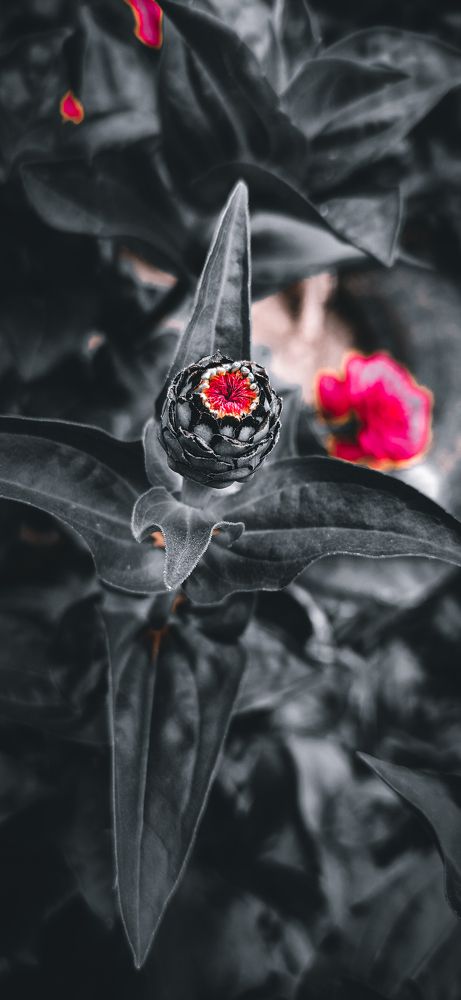 Photograph by Кристина Полякова