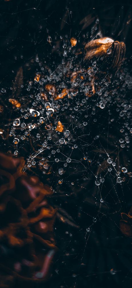 Photograph by Кристина Полякова