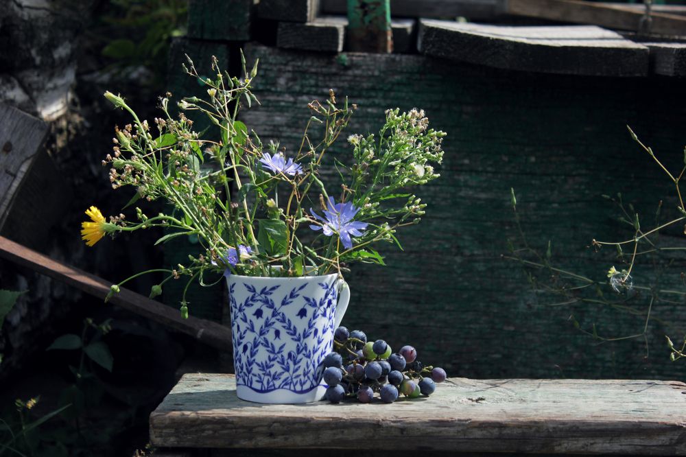 Натюрморт с виноградом