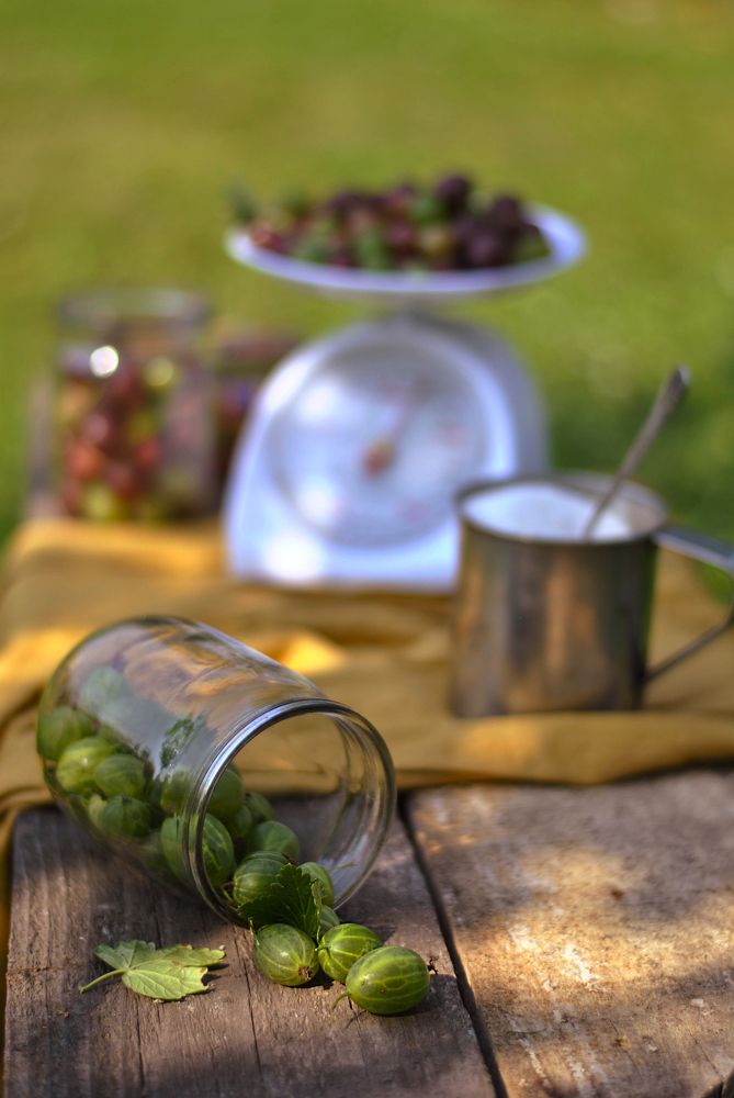 Photograph by Маргарита Булатова