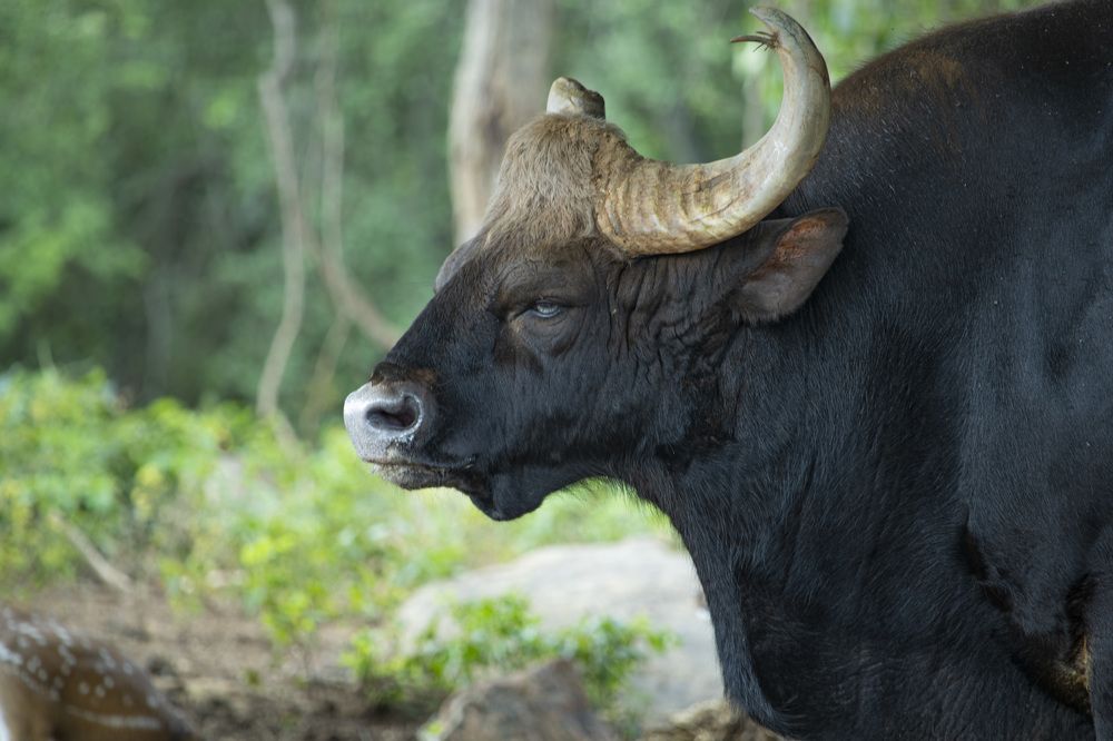 Photograph by Robin Karyeth