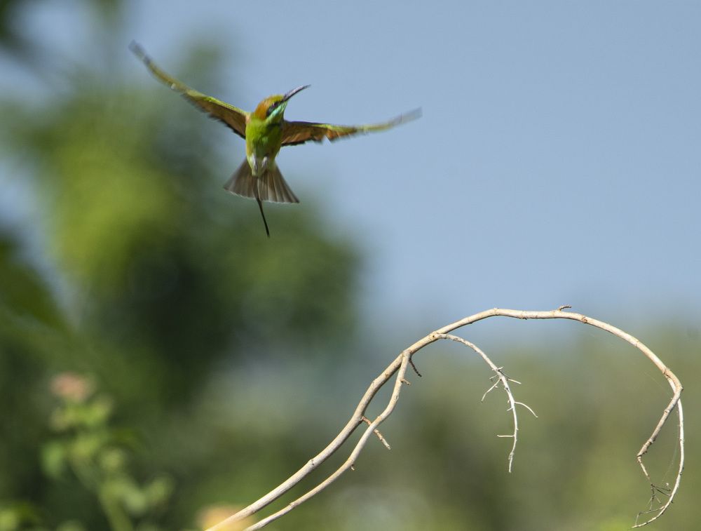 Photograph by Robin Karyeth