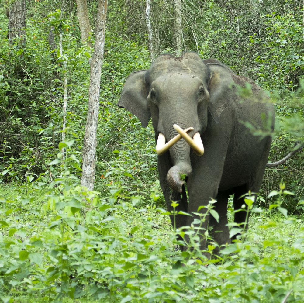 Photograph by Robin Karyeth