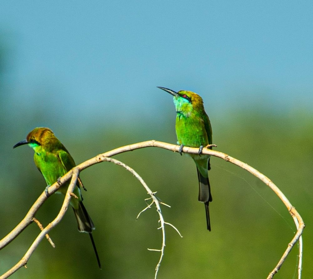 Photograph by Robin Karyeth