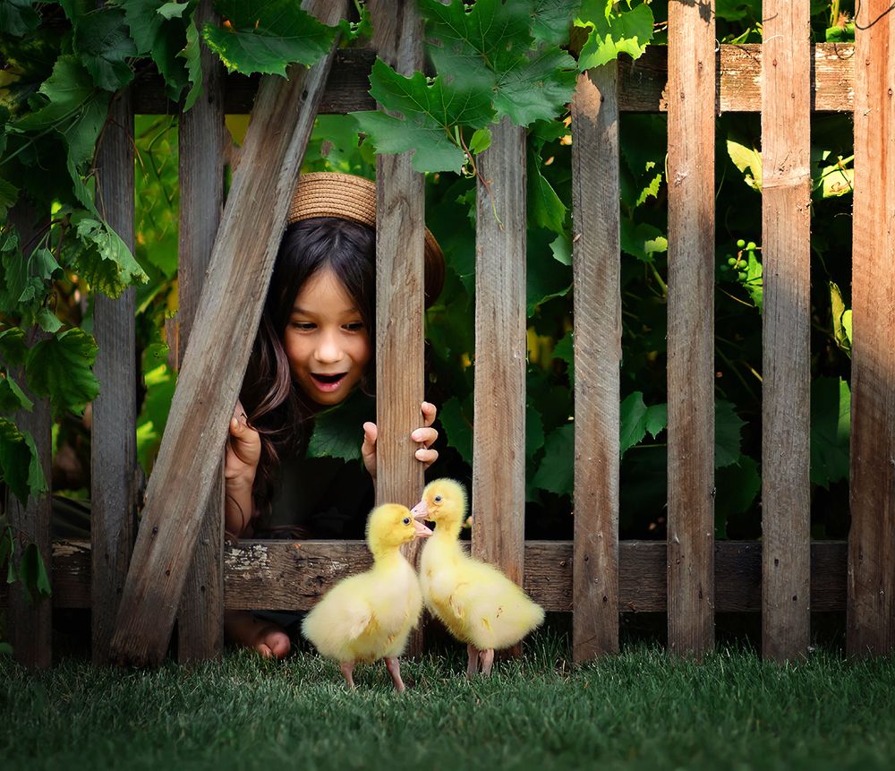 Photograph by Гузель Султангареева