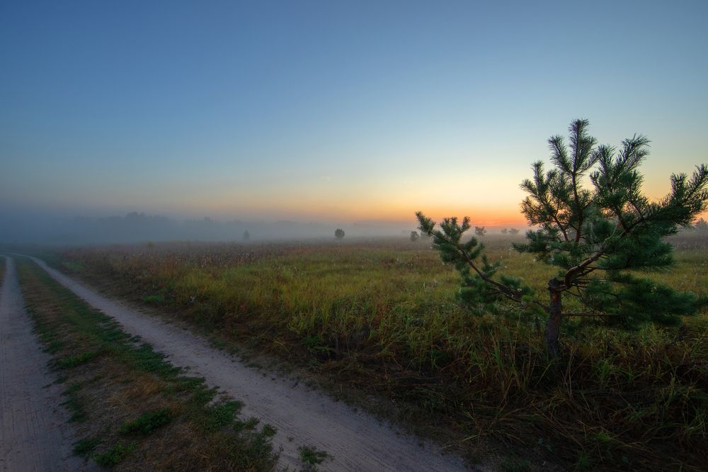 Photograph by Сергей Абашкин