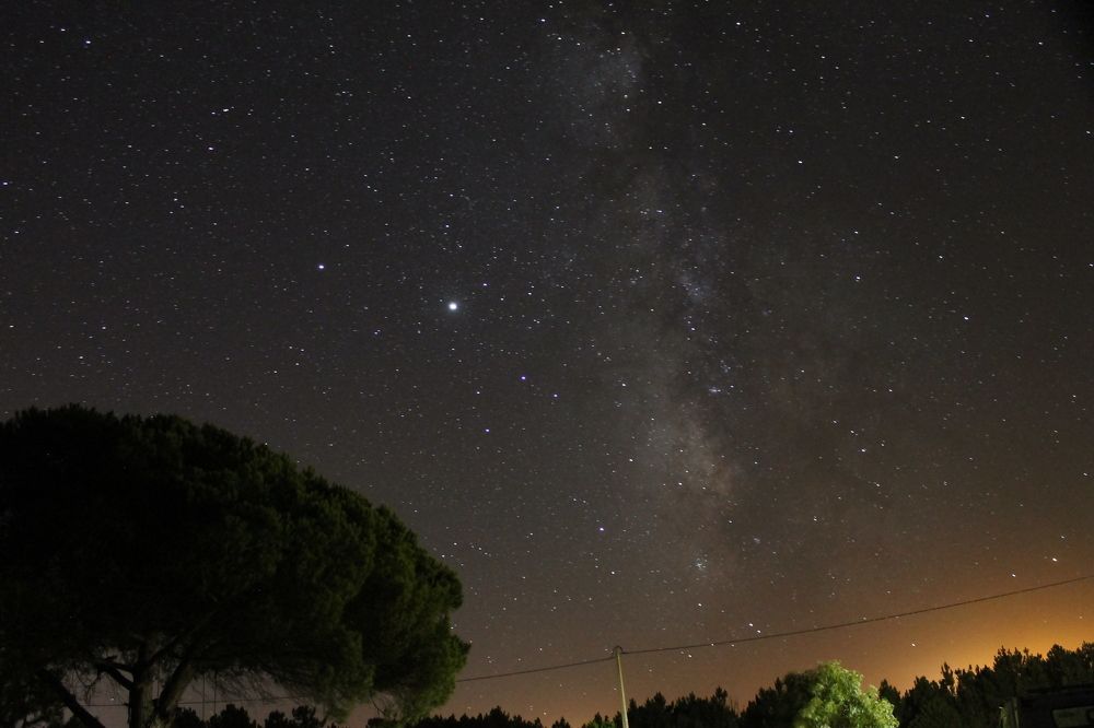 Photograph by Francisco Ferreira