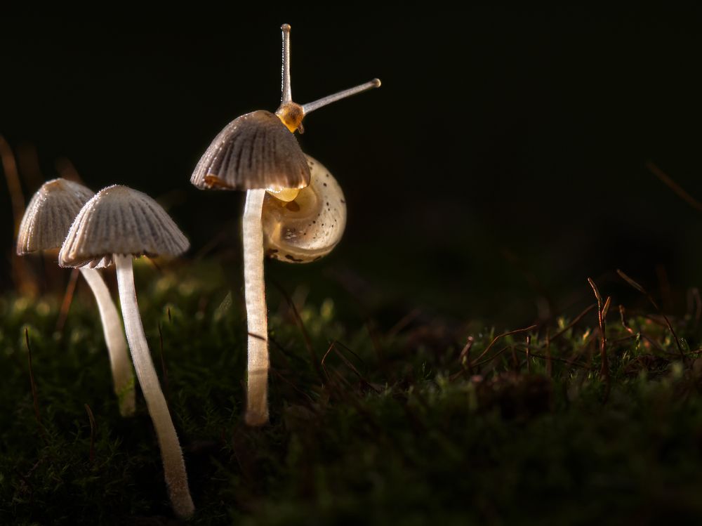 Photograph by Людмила Аксенова