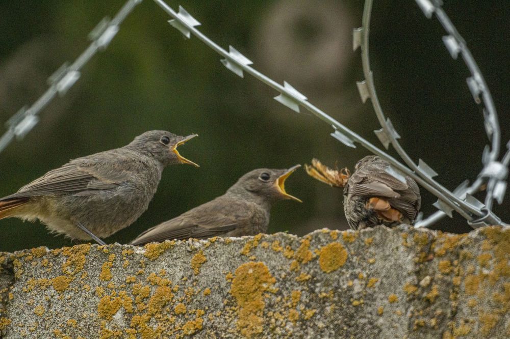 Photograph by Алексей Борисов
