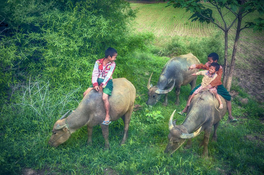 Фотография автора Moe Aung