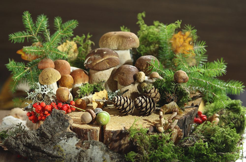 Photograph by Шруб (Беляева) Татьяна