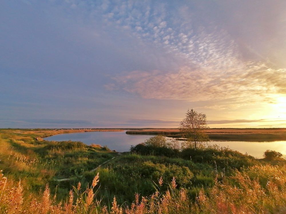 Photograph by Светлана Фокина