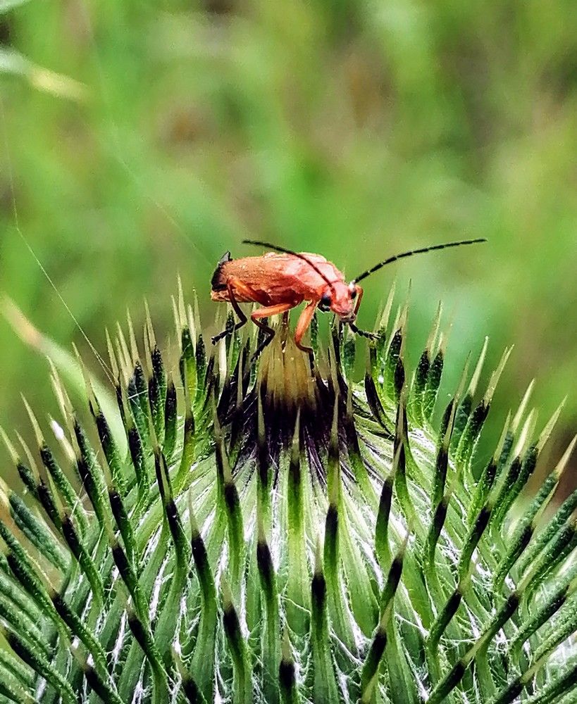 Photograph by Виктор Шубин