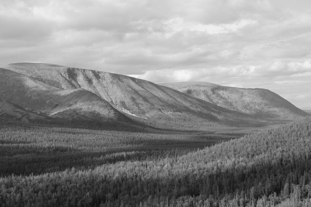 Photograph by Nadezhda Bakina